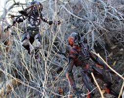 Toy Review Neca S Special 100th Edition Alpha Predator Product titleneca predators classic predator action figure [unmas. neca s special 100th edition alpha predator