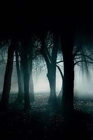 Follow us for regular updates on awesome new wallpapers! 19 Tumblr Forest Wallpaper Dark Forest Dark Wallpaper