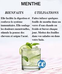 Les 20 Meilleurs Aliments Pour La Sante Que Vous Avez Deja Dans Vos Placards Aliments Bons Pour La Sante Alimentation Et Sante Guide De Nutrition