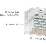 Spotlight】 The Detailed Composition of a Typical Plant ...