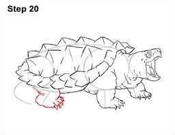Easy drawings of snapping turtles. Simple Snapping Turtle Drawing Novocom Top