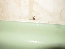 These walls not only add beauty and dimension but have sound dampening qualities. Marlite Tileboard For Tub Shower Walls Plumbing Inspections Internachi Forum