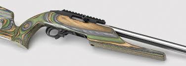 The options for them are just endless and they are fun to shoot. Ruger Custom Shop 10 22 Competition Rifle