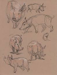 Pig Invasion At Disney By Davidsdoodles On Deviantart Animal Drawings Sketches Disney Art Drawings
