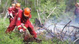 In may 2017, a committee was initiated by the bc wildfire service to facilitate greater direction and integration of the seven firesmart disciplines across the province of british columbia based on the firesmart canada model. B C Wildfire Service Expects Crush Of Applications Following Busy Year Cbc News