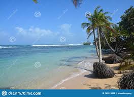 This was found by aggregating across different carriers and is the cheapest price for the. Polo Beach Auf Bastimentos Insel In Bocas Del Toro Panama Stockfoto Bild Von Unglaublich Insel 142518818