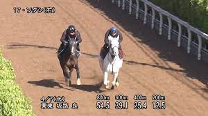 Bd , dvd , ova/oad , 劇場版. Qx9la1zcna4e7m