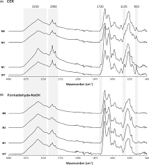 Calculatordb tracks foreign exchange references rates published by the european central bank. Regulation Of Colony Morphology And Biofilm Formation In Shewanella Algae Martin Rodriguez Microbial Biotechnology Wiley Online Library