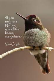 Moving nature quotes and sayings 11. Twelve Essential Nature Quotations Nature Quotes Find Beauty Quotations