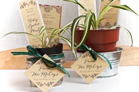 Help them refurnish their home with the most gorgeous piece of decor—this wine cellar sign! Baby Spider Plant Housewarming Gifts Party Inspiration