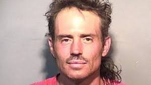 Photos: Arrest mugshots 7-3-16