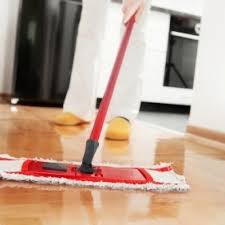 Homemade Floor Cleaner Recipes Thriftyfun