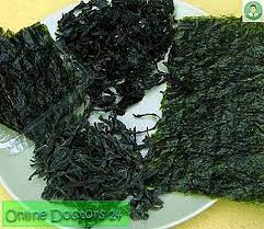 Komposisi kimia mi kering komposit rumput laut labu. Kelp Kering Aplikasi Dan Ulasan Rumpai Laut Kering Kelp Ubatan Alternatif 2021