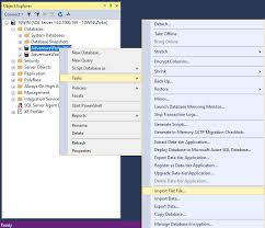 How To Import A Flat File Into A Sql Server Database Using The Import Flat File Wizard