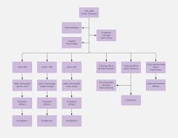 Management Flowchart Template Lucidchart