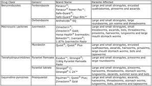 Horse Wormer Frequently Asked Questions Horse Wormers Horse Worming Schedule Horse Lessons