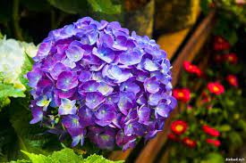 [Hình: images?q=tbn:ANd9GcR9Ueveb9Rwu5b8YWmuos8...w&usqp=CAU]