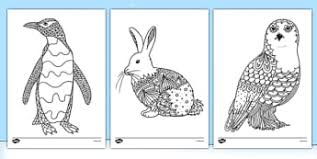 Nature is full of flying things, buzzing things and insects and bugs are some of those things. Minibeast Art Ks1 Colouring Sheets Primary Resources