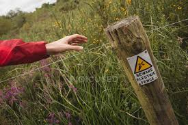 Tongher has offer thousands of electric fence systems and solutions,service to customers more than 40 countries, not only for end user,but also to government projects. Man Touching Electric Fence In Field Ireland Summertime Stock Photo 208536450