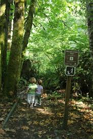 Sensitive species (date, location, and observer information is restricted) public information for sensitive species is restricted due to potential harmful impact to these birds. Mclane Creek Nature Trail Thurstontalk