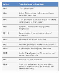 New Approaches In Canine Multicentric Lymphoma Veterinary Practice