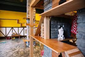 We serve beer, wine, coffee, snacks and adoptable cats! Seattle Meowtropolitan Cat Cafe Opens Tails From Raskc