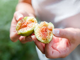 Nightly rates for cheap resorts in malaysia are starting from $21 this weekend. Fig Farm Mutiara Figs