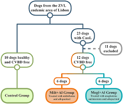 Essential tools for today's cooks. Frontiers Immunophenotyping Of Peripheral Blood Lymph Node And Bone Marrow T Lymphocytes During Canine Leishmaniosis And The Impact Of Antileishmanial Chemotherapy Veterinary Science