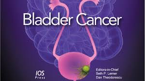 Bladder Cancer Journal Vol 5 Issue 3 Grand Rounds In Urology