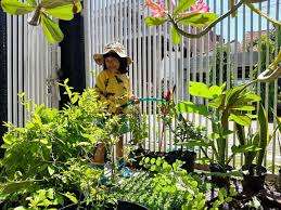 7 cara membuat taman vertikal di rumah. Cerita Naya Isi Liburan Dengan Merawat Kebun Binatang Mini Di Rumah Kumparan Com