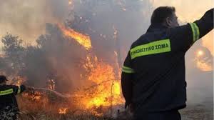 Αξίζει να σημειωθεί ότι η πυρκαγιά επί του παρόντος καίει σε δασική έκταση. Pros Thn Petroypolh H Fwtia Apo Ta Anw Liosia Se E3eli3h H Fwtia Sto Soynio