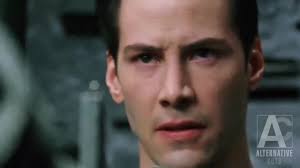 Better Call Saul & Breaking Bad