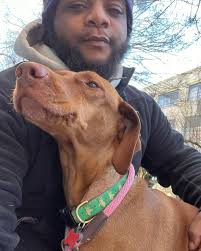 375: Fail, Learn, Improve, & Grow with Wayne Hartley Jr.