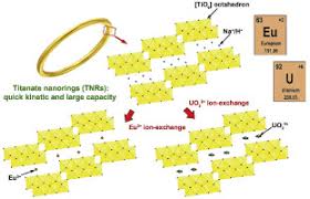 It is therefore said to be 'fissile' and we use the expression 'nuclear fission'. Efficient Adsorption Of Europium Iii And Uranium Vi By Titanate Nanorings Insights Into Radioactive Metal Species Sciencedirect