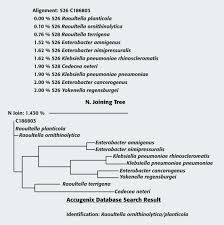 In 2017 , agrofuel research operations genetically modified a sample of the bacteria using the enzyme ec 31. Isolation Of Raoultella Planticola From Refillable Antimicrobial Liquid Soap Dispensers In A Dental Setting Sciencedirect