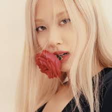We did not find results for: Netizens Share Their Thoughts On Blackpink Rose S Vibe Knetizen