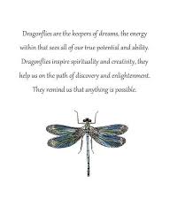 Pin By Deedra Wilson On Calvin Dragonfly Artwork Dragonfly Symbolism Dragonfly Prints