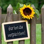 Startseite / produkte verschlagwortet mit „muster nutzungsvertrag. Pachtvertrag Fur Einen Kleingarten Muster