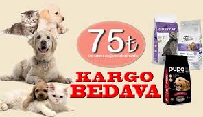 Kedi Kopek Guvercin Kus Hamster Tavsan Tavuk Mama Yem Ve Bakim Urunleri Mama Duragi Kedi Kopek Kopek Kedi