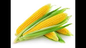 الشيخ عبد القادر شيبة الحمد. ØªÙØ³ÙŠØ± Ø±Ø¤ÙŠØ© Ø§Ù„Ø°Ø±Ø© Ø§Ù„Ù…Ø´ÙˆÙŠ ÙÙŠ Ø§Ù„Ù…Ù†Ø§Ù… Ù…ÙˆÙ‚Ø¹ Ø§Ù„Ø±Ù‡ÙŠØ¨