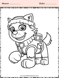 Coloring picture or coloring book of lifeguard with equipment on the beach. Free Printable Paw Patrol Coloring Pages For Kids Education Printablekidsedu Com