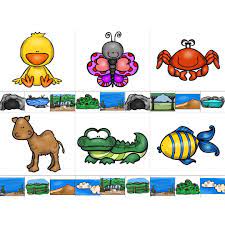 gunaydin yasam alanlarina gore hayvanlar pvc kaplayip dogru yerlere mandal takma seklinde kullabilirsiniz gorsellere profilde hayvanlar clip art mandala