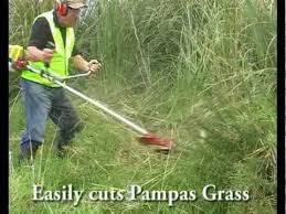 Image result for strimmer accident