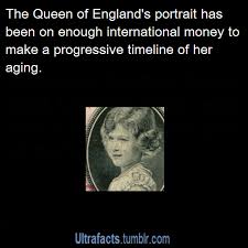 Https Encrypted Tbn0 Gstatic Com Images Q Tbn 3aand9gcqeffaitj1cli8kael47owulscgbcq5fl1v5g Usqp Cau