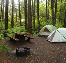 Maybe you would like to learn more about one of these? Camping In Olympic National Park The Kalaloch Campground Park Chasers