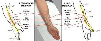 Why Does Acupuncture Work Study Finds It Elevates Nitric Oxide Leading To Pain Reduction