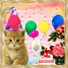 Geburtstagsvideo mit katzen und klassischen geburtstagslied. Sweet Cute Kitty Birthday Gif Birthday Birthday Quotes Birthday Gifs Animated Birthday Quotes Cute Bi Birthday Gif Happy Birthday Pictures Cute Birthday Quotes