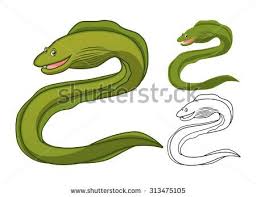 Eel Isolated Stock Photos Images Pictures Cartoon Pics Moray Eel Cartoon Characters