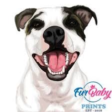 Photo blankets custom blanket bedding sets. 53 Pet Portfolios Ideas In 2021 Animals Dog Portraits Pets