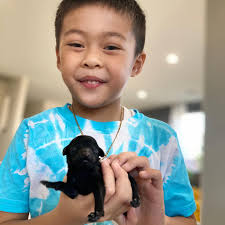 teddy.and.harley.pawsh